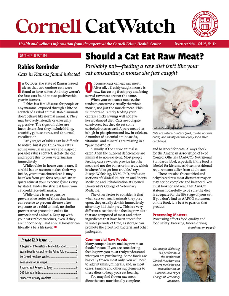 Catwatch December 01, 2024 Issue Cover