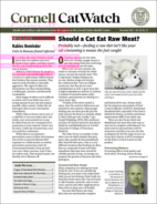 Catwatch December 01, 2024 Issue Cover