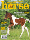 Horse Illustrated January 01, 2026 Issue Cover