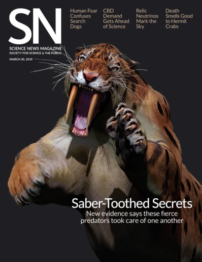 Science News March 30, 2019 Issue Cover