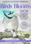 Birds & Blooms December 01, 2025 Issue Cover