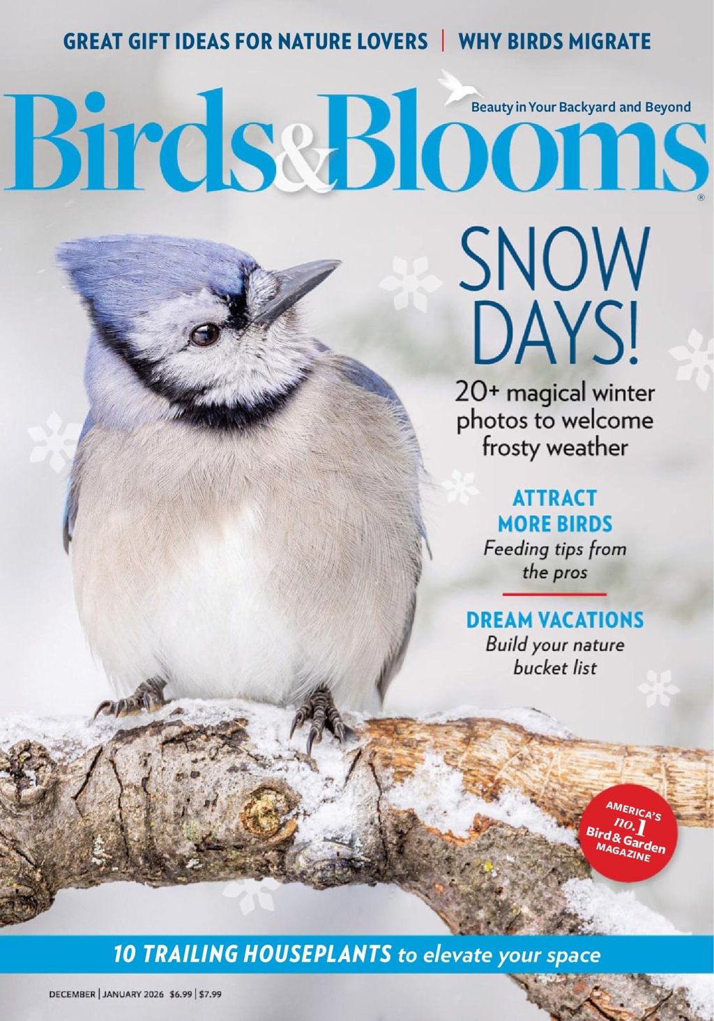 Birds-and-Blooms December 01, 2025 Issue Cover