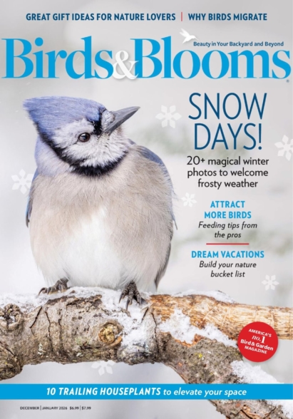 Birds & Blooms December 01, 2025 Issue Cover