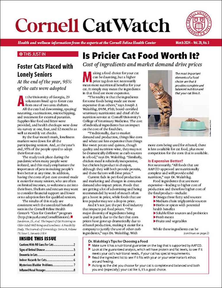 Catwatch March 01, 2024 Issue Cover