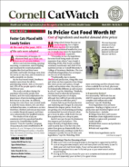 Catwatch March 01, 2024 Issue Cover