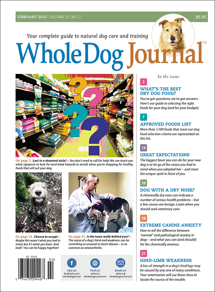 Whole-Dog-Journal February 01, 2022 Issue Cover