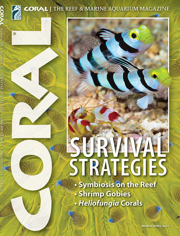 Coral March 01, 2021 Issue Cover