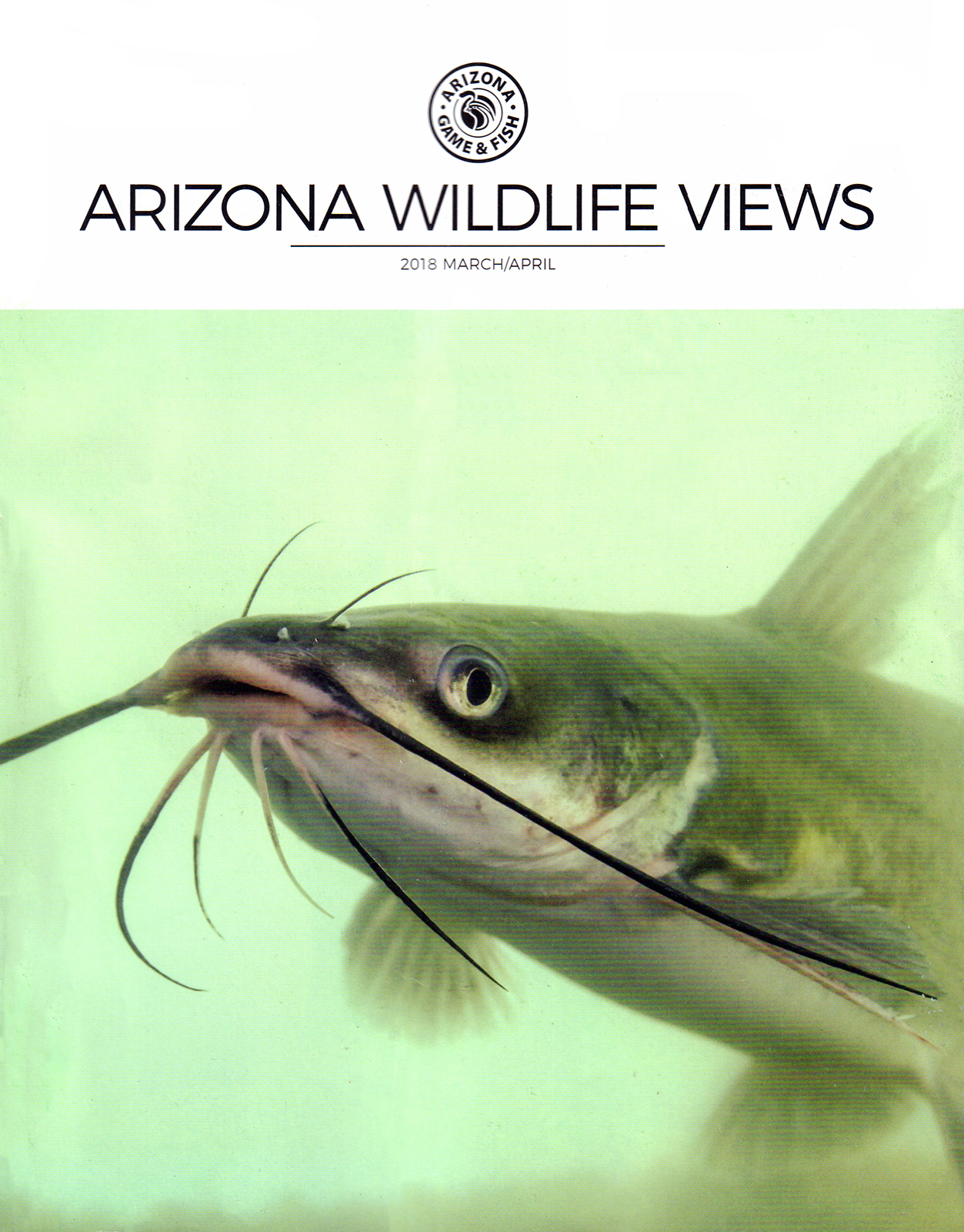 Arizona-Wildlife-Views March 01, 2018 Issue Cover