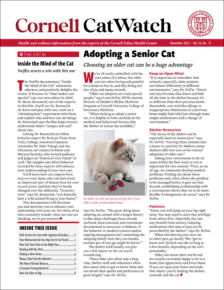Catwatch November 01, 2022 Issue Cover
