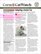 Catwatch November 01, 2022 Issue Cover