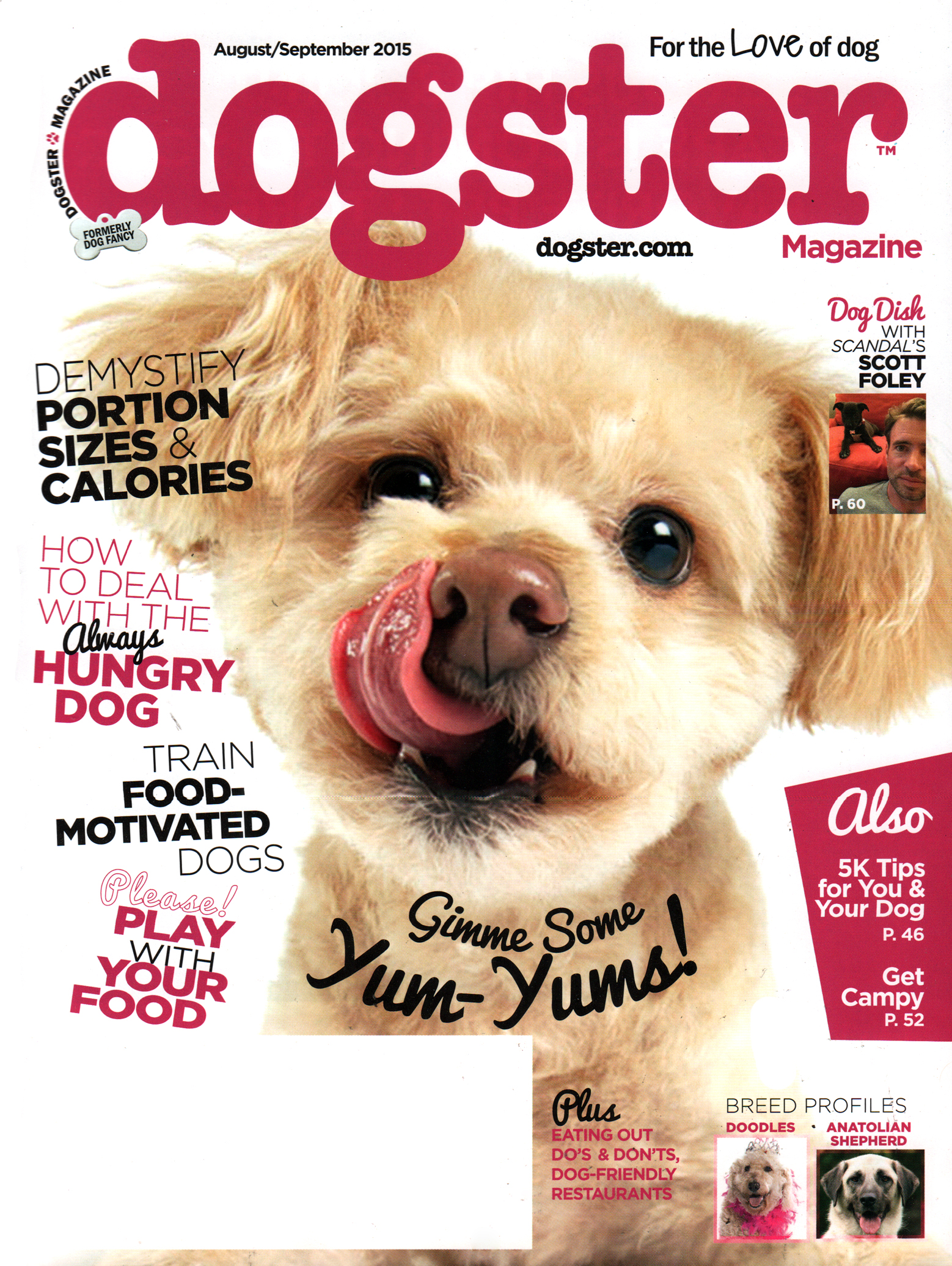 Dogster August 01, 2015 Issue Cover