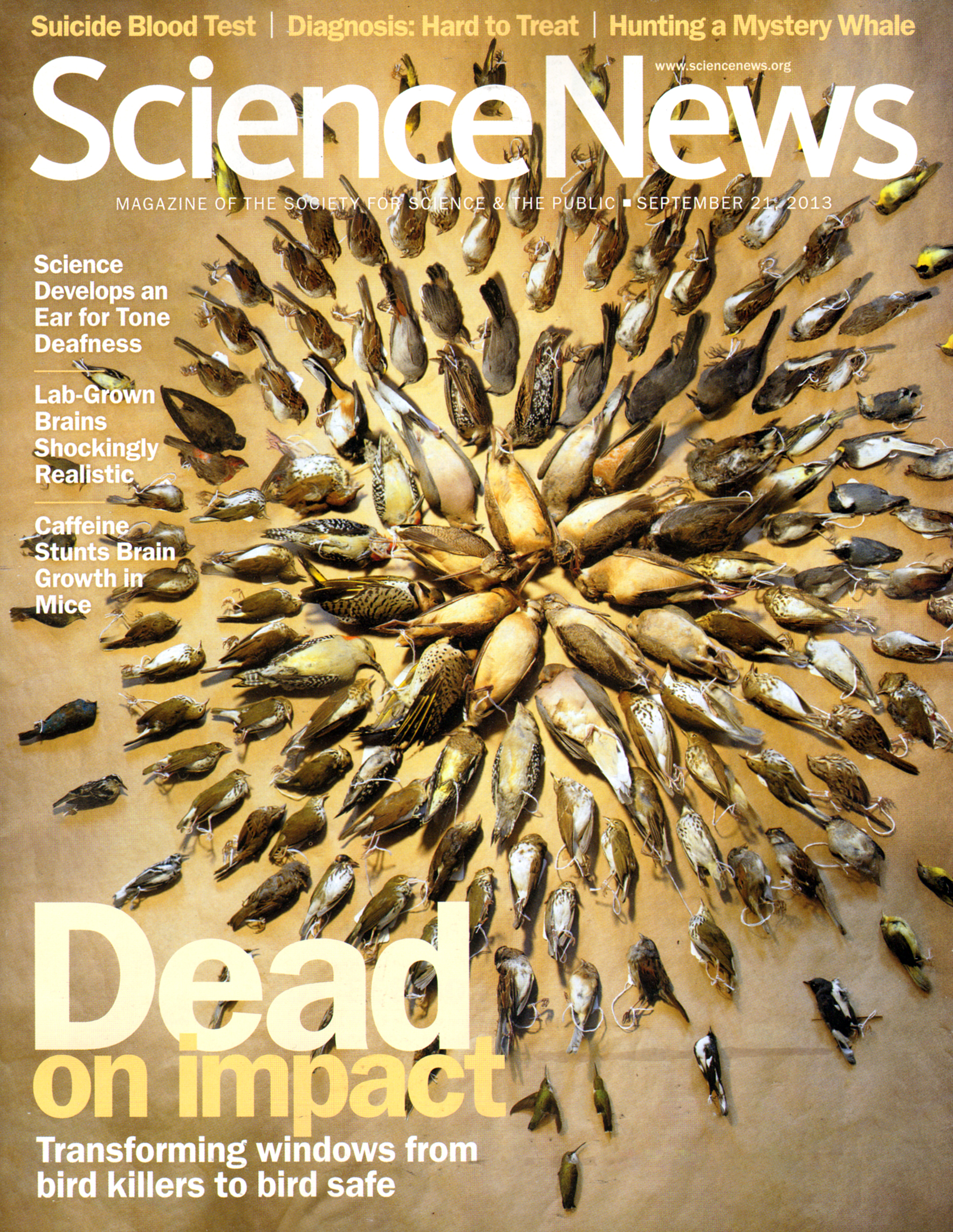 Science-News September 21, 2013 Issue Cover
