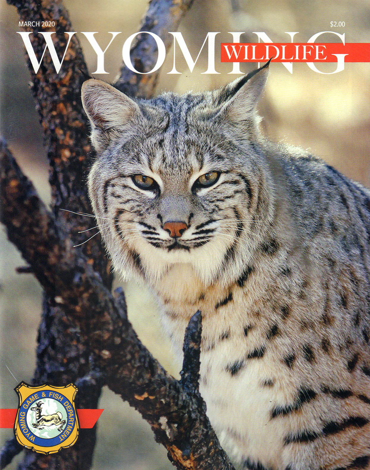 Wyoming-Wildlife March 01, 2020 Issue Cover
