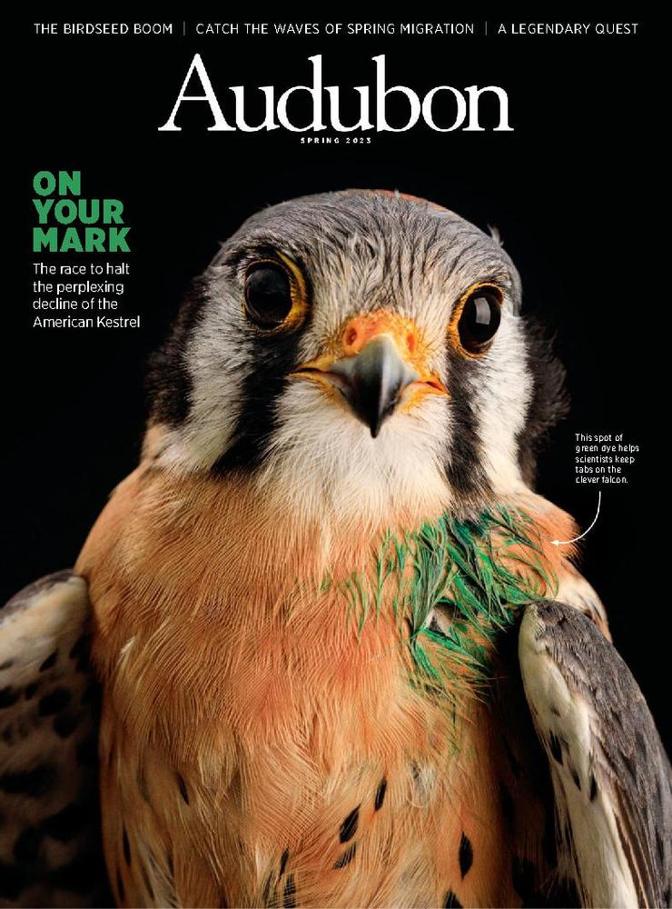 Audubon March 01, 2023 Issue Cover