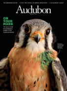 Audubon March 01, 2023 Issue Cover