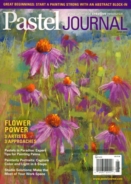 Pastel-Journal June 01, 2014 Issue Cover