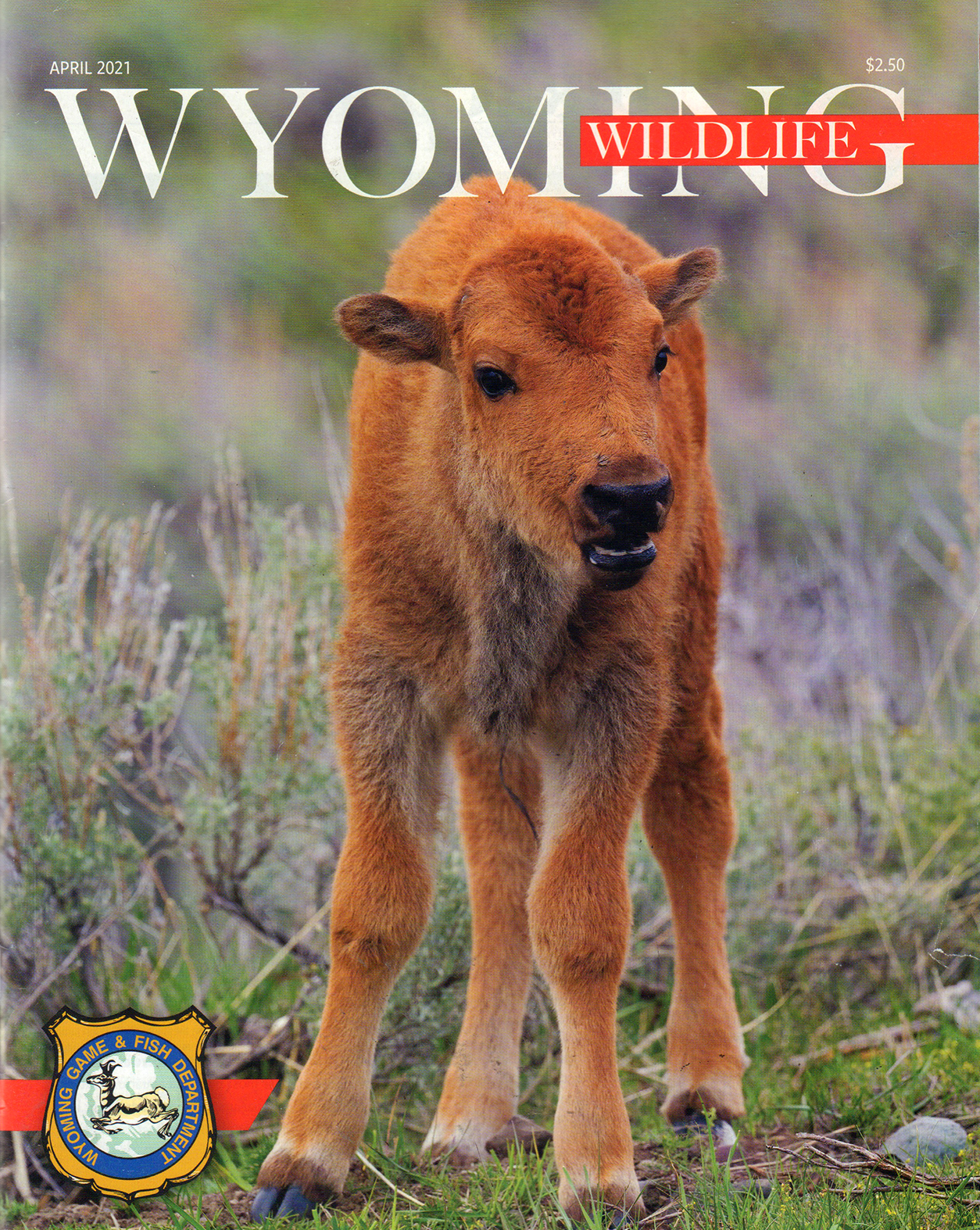 Wyoming-Wildlife April 01, 2021 Issue Cover