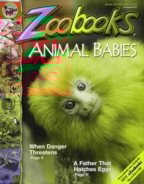 zoobooks July 01, 2017 Issue Cover