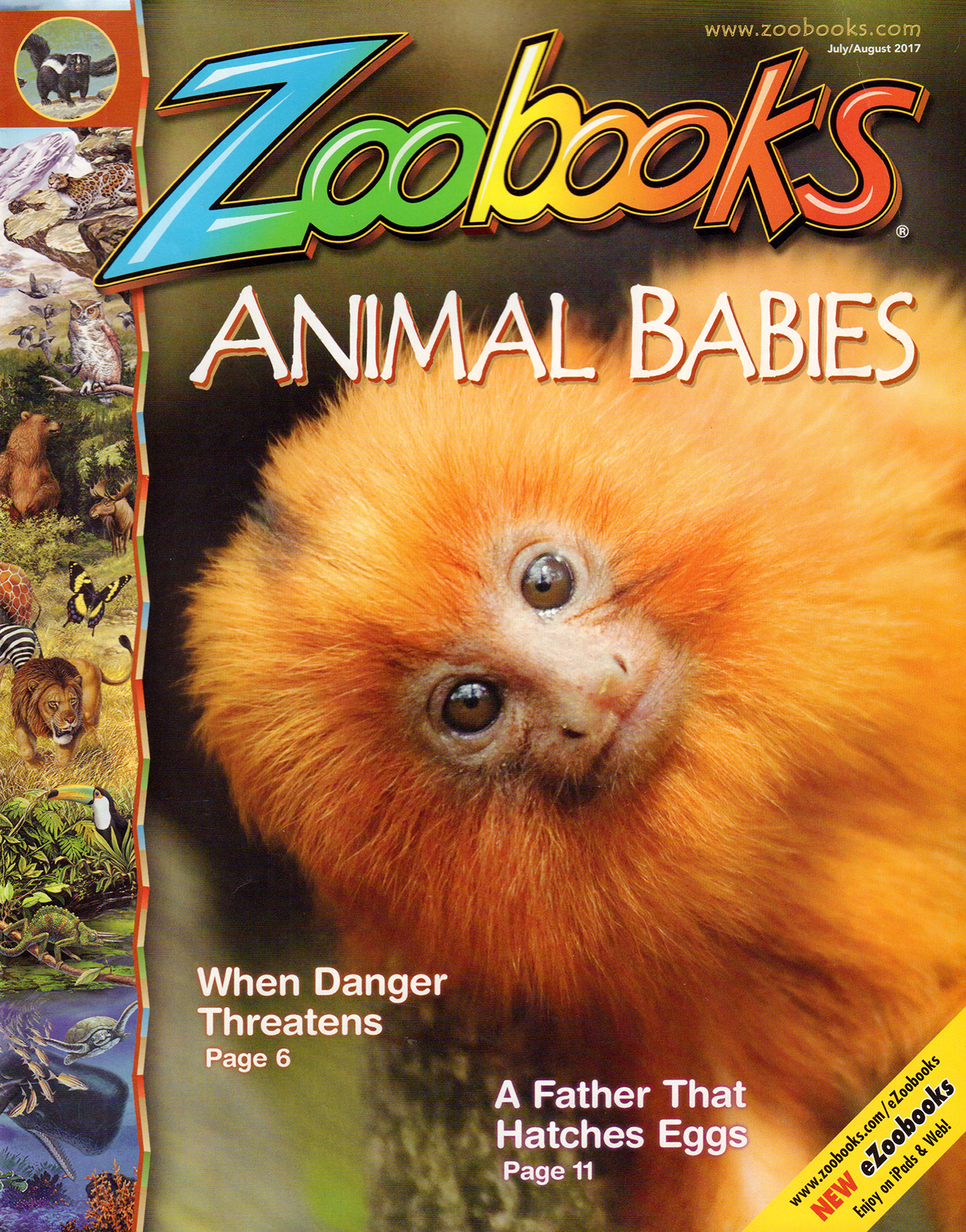 zoobooks July 01, 2017 Issue Cover