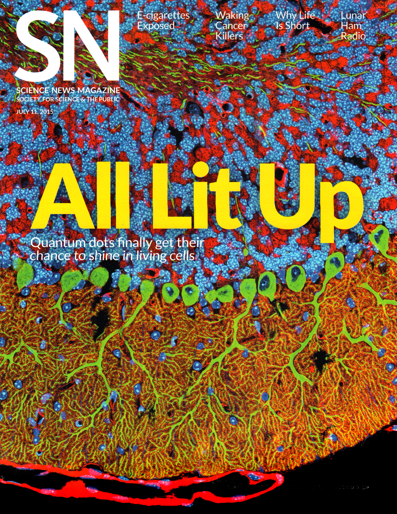 Science-News July 11, 2015 Issue Cover