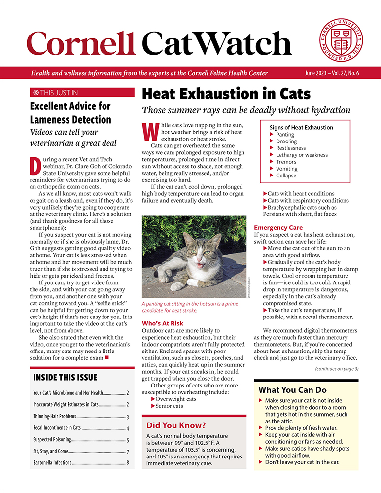 Catwatch June 01, 2023 Issue Cover