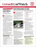 Catwatch June 01, 2023 Issue Cover