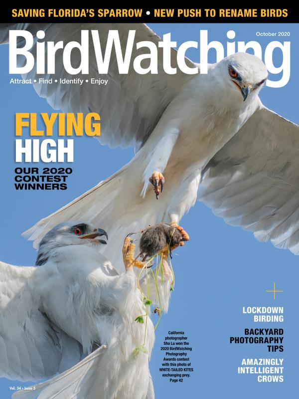 Bird-Watching October 01, 2020 Issue Cover