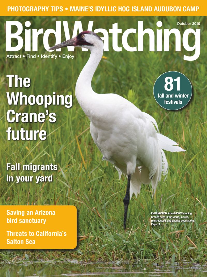 Bird-Watching September 01, 2019 Issue Cover