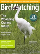 Bird-Watching September 01, 2019 Issue Cover