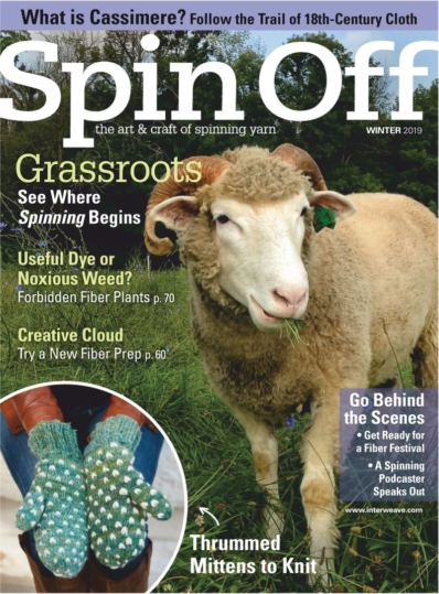 Spin Off December 01, 2018 Issue Cover