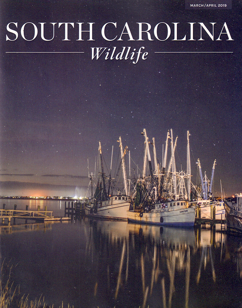 South-Carolina-Wildlife March 01, 2019 Issue Cover