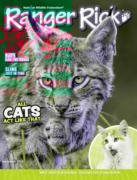 Ranger Rick November 01, 2025 Issue Cover