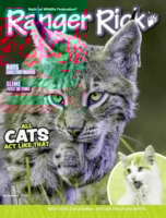 Ranger Rick November 01, 2025 Issue Cover