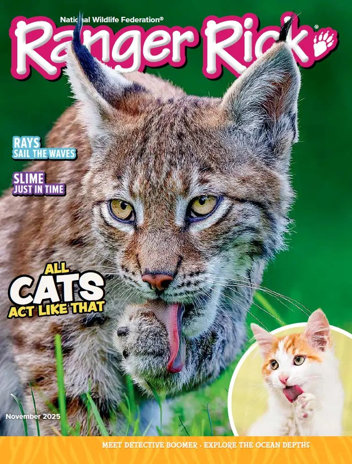 Ranger-Rick November 01, 2025 Issue Cover
