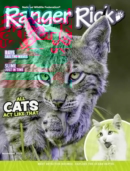 Ranger Rick November 01, 2025 Issue Cover