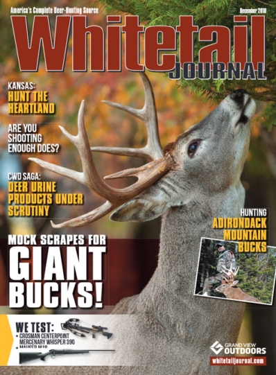Whitetail Journal December 01, 2018 Issue Cover