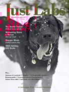 Just-Labs November 01, 2023 Issue Cover