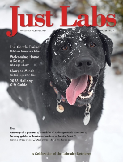 Just Labs November 01, 2023 Issue Cover