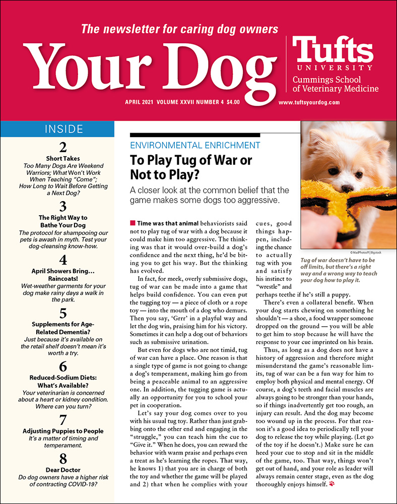 Your-Dog April 01, 2021 Issue Cover