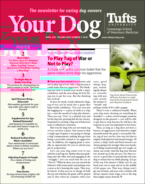 Your-Dog April 01, 2021 Issue Cover