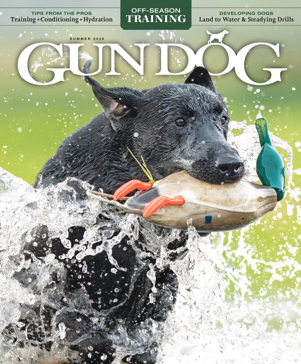 Gun-Dog June 01, 2026 Issue Cover