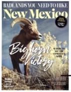 New-Mexico May 01, 2020 Issue Cover