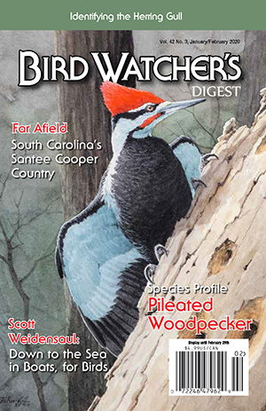 Bird-Watchers-Digest January 01, 2020 Issue Cover