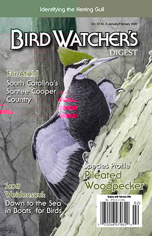Bird Watcher's Digest January 01, 2020 Issue Cover
