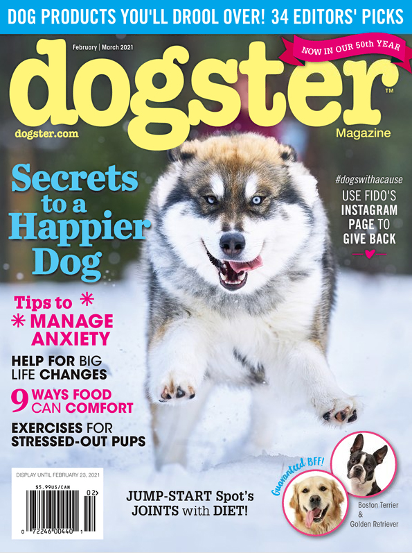 Dogster February 01, 2021 Issue Cover