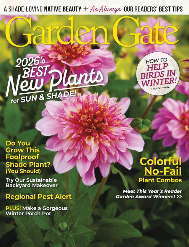 Garden Gate December 01, 2025 Issue Cover
