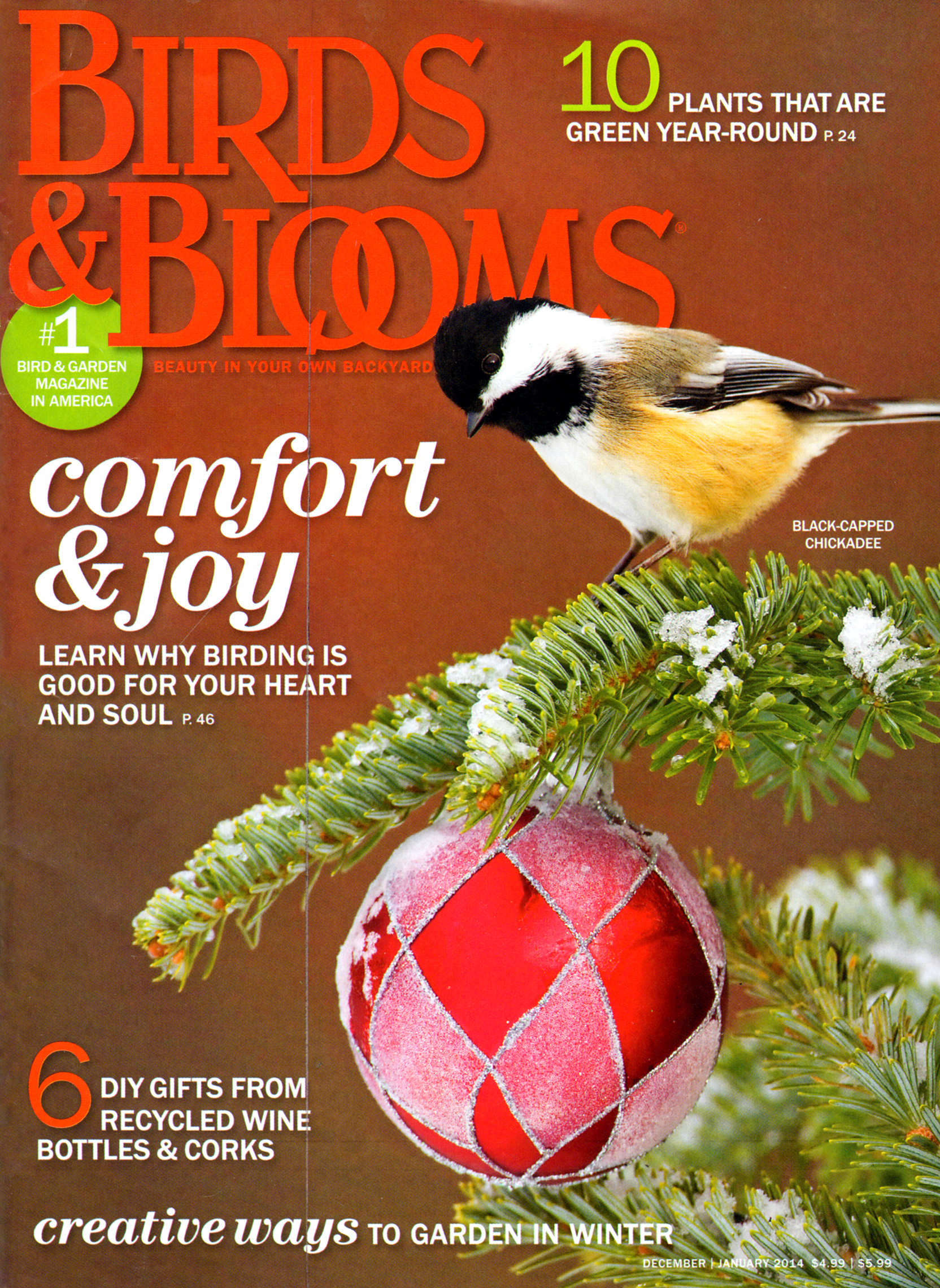 Birds-and-Blooms December 01, 2013 Issue Cover