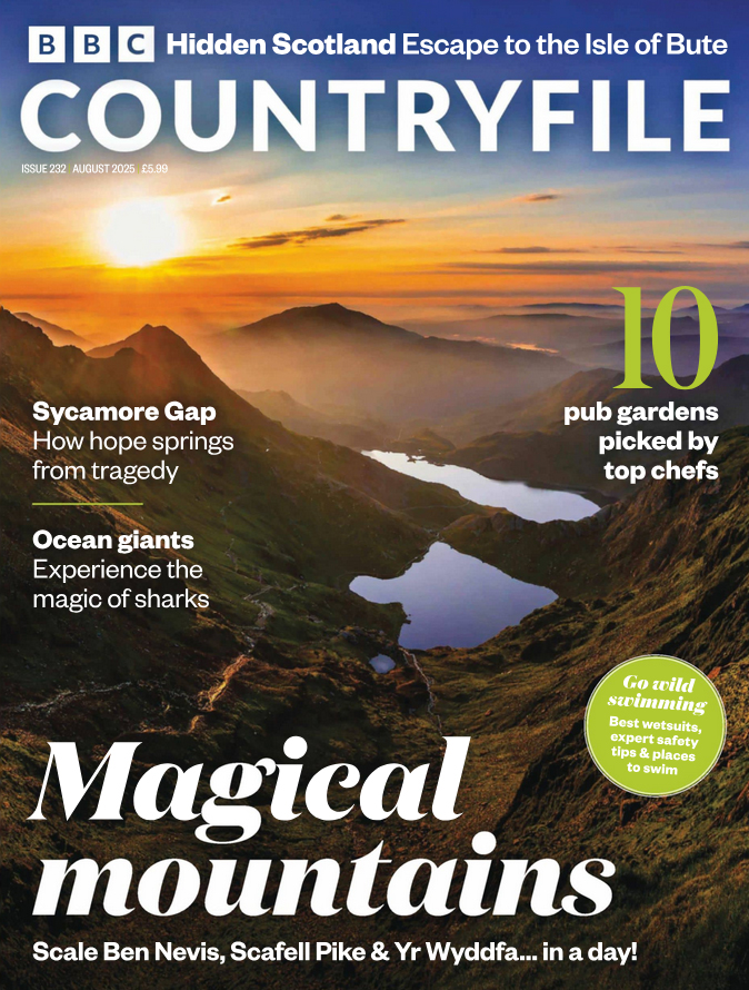 BBC-Countryfile August 01, 2025 Issue Cover