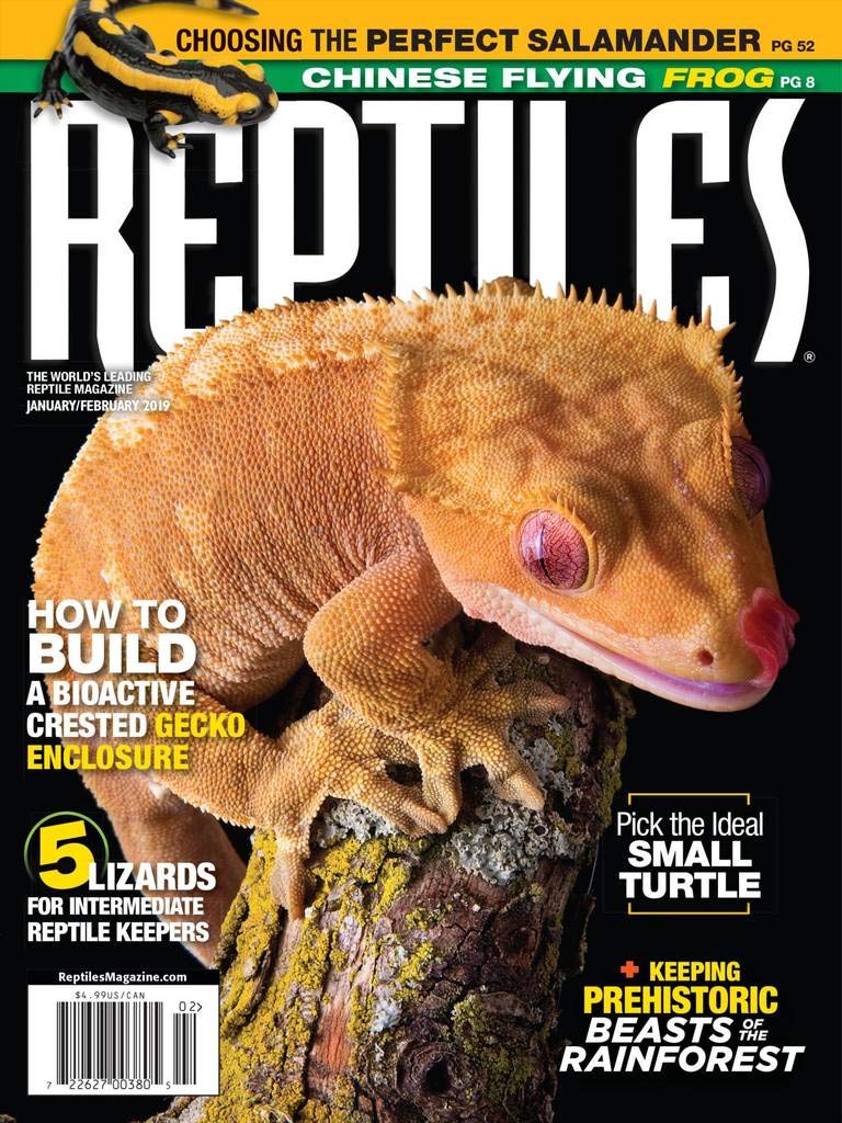 Reptiles January 01, 2019 Issue Cover