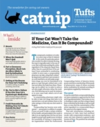 Catnip May 01, 2023 Issue Cover